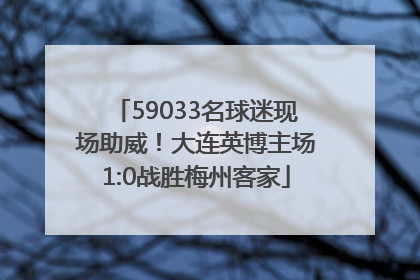 59033名球迷现场助威！大连英博主场1:0战胜梅州客家