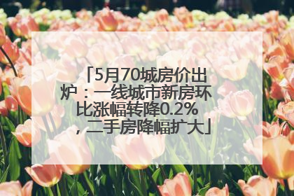 5月70城房价出炉：一线城市新房环比涨幅转降0.2%，二手房降幅扩大