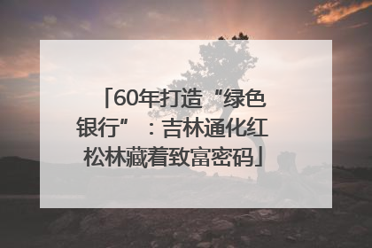 60年打造“绿色银行”：吉林通化红松林藏着致富密码