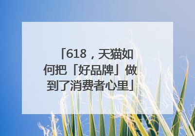618，天猫如何把「好品牌」做到了消费者心里