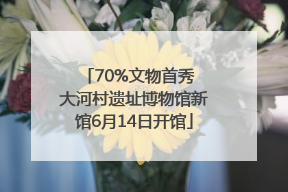 70%文物首秀 大河村遗址博物馆新馆6月14日开馆