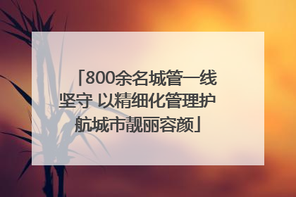 800余名城管一线坚守 以精细化管理护航城市靓丽容颜