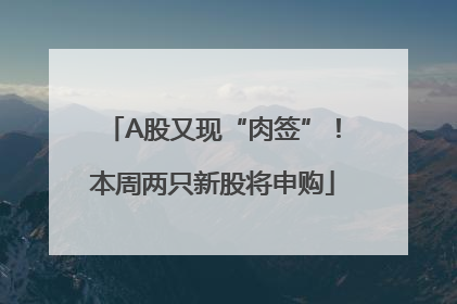 A股又现“肉签”！本周两只新股将申购