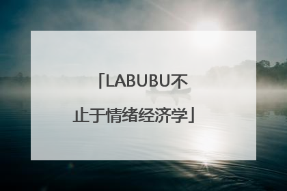 LABUBU不止于情绪经济学