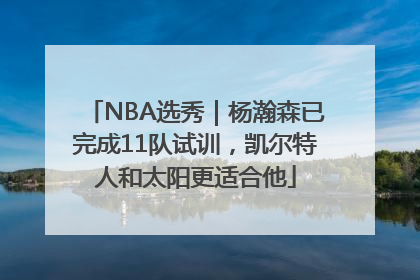 NBA选秀｜杨瀚森已完成11队试训，凯尔特人和太阳更适合他