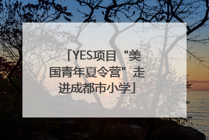 YES项目“美国青年夏令营”走进成都市小学